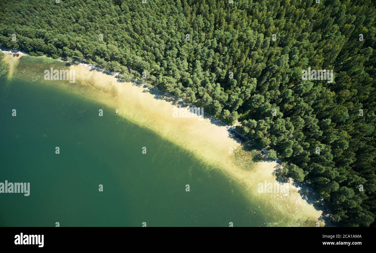 White sand beach on forest shore aerial drone view Stock Photo