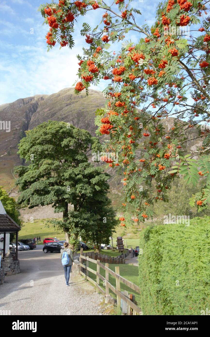 Tourists in Glencoe, Scottish Highlands, UK Stock Photo