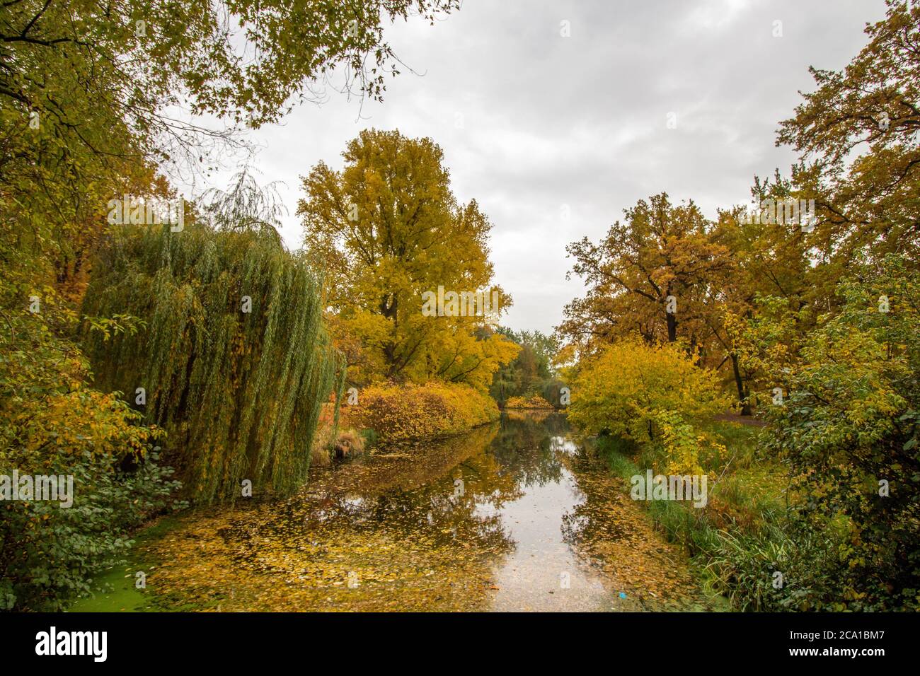 Autumn trees on a cloudy day in a park with a lake. Stock Photo