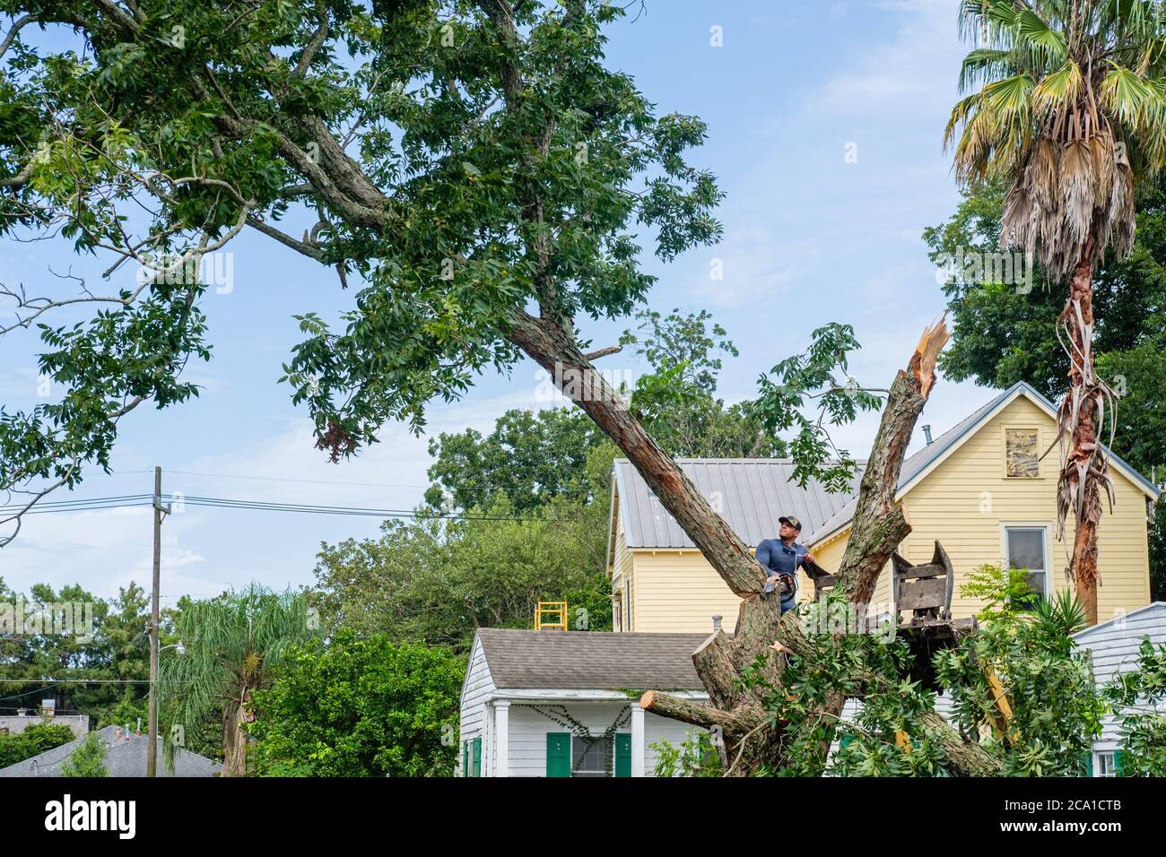 New Orleans, Louisiana/USA 7/29/20202 Worker cutting down pecan tree