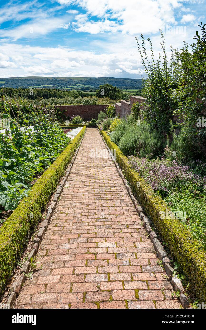 A brick path at The Ethicurean restaurant's Victorian walled garden, Barley wood, Wrington, Bristol, Somerset, UK Stock Photo