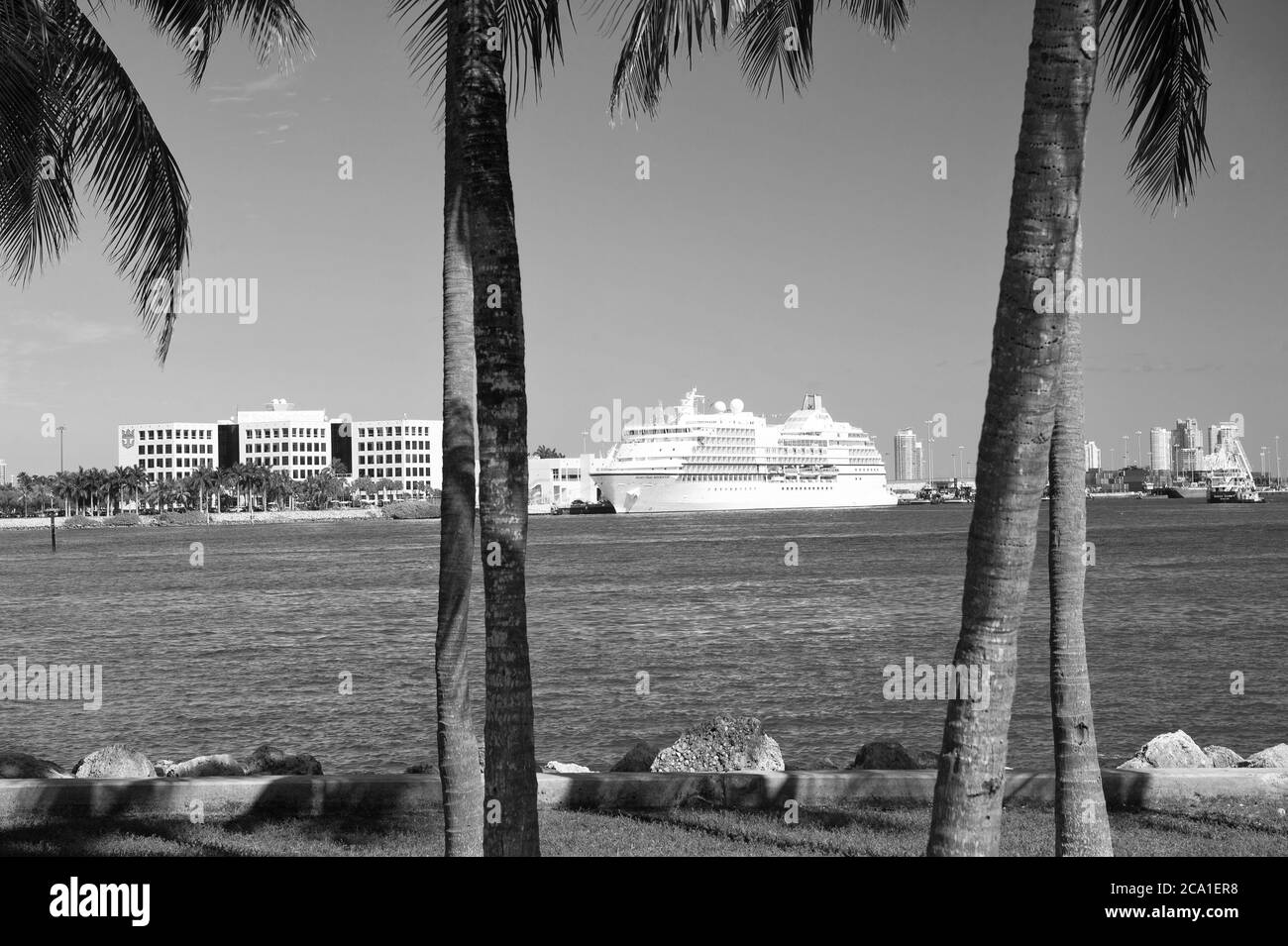 Miami, USA - February 29, 2016: Seven Seas Navigator on deep blue water and sky with palms foreground. Adventure and discovery. Travelling and travel. Journey and trip. Wanderlust. Summer vacation. Stock Photo