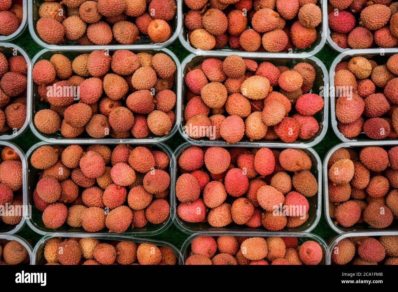 Overhead shot - lychee fruits in small plastic boxes, displayed on food ...
