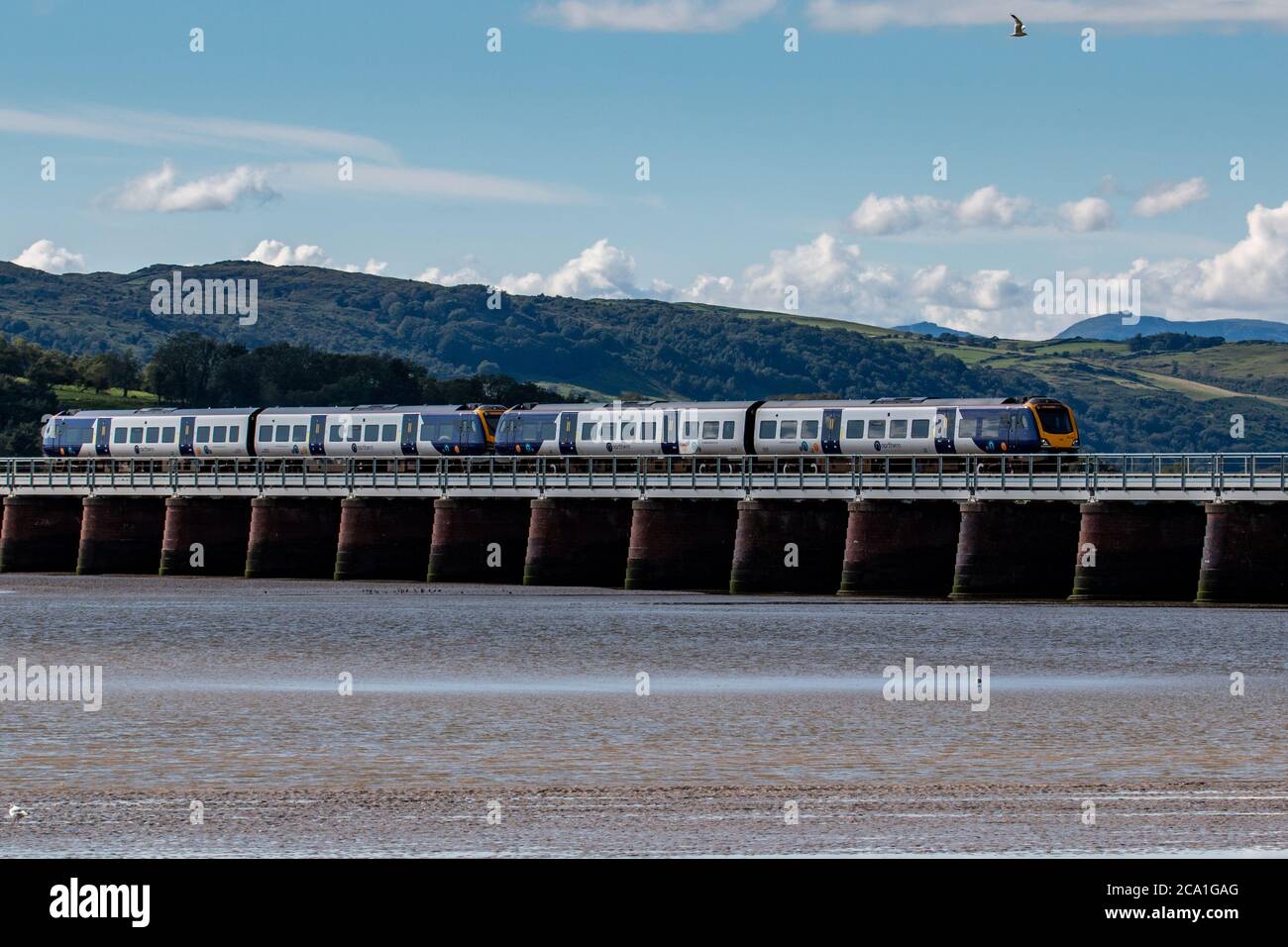 Arnside, Cumbria, United Kingdom. 3rd Aug, 2020. British Rail Class 195 Diesel train travelling over Arnside Viaduct in the afternoon sunshine over the River Kent The £500m 25 two car Trains and 33 Triple car units were ordered with the first units being delivered a year ago in July 2020, the trains where transferred to Northern Trains on 1 March 2020. The firm, is owned by Arriva Rail North. Credit: PN News/Alamy Live News Stock Photo