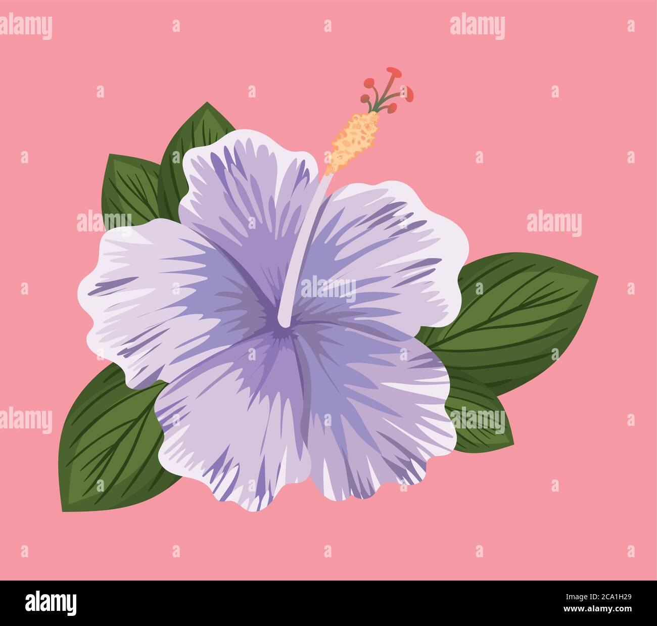 purple hawaiian flower painting design, natural floral nature plant ...