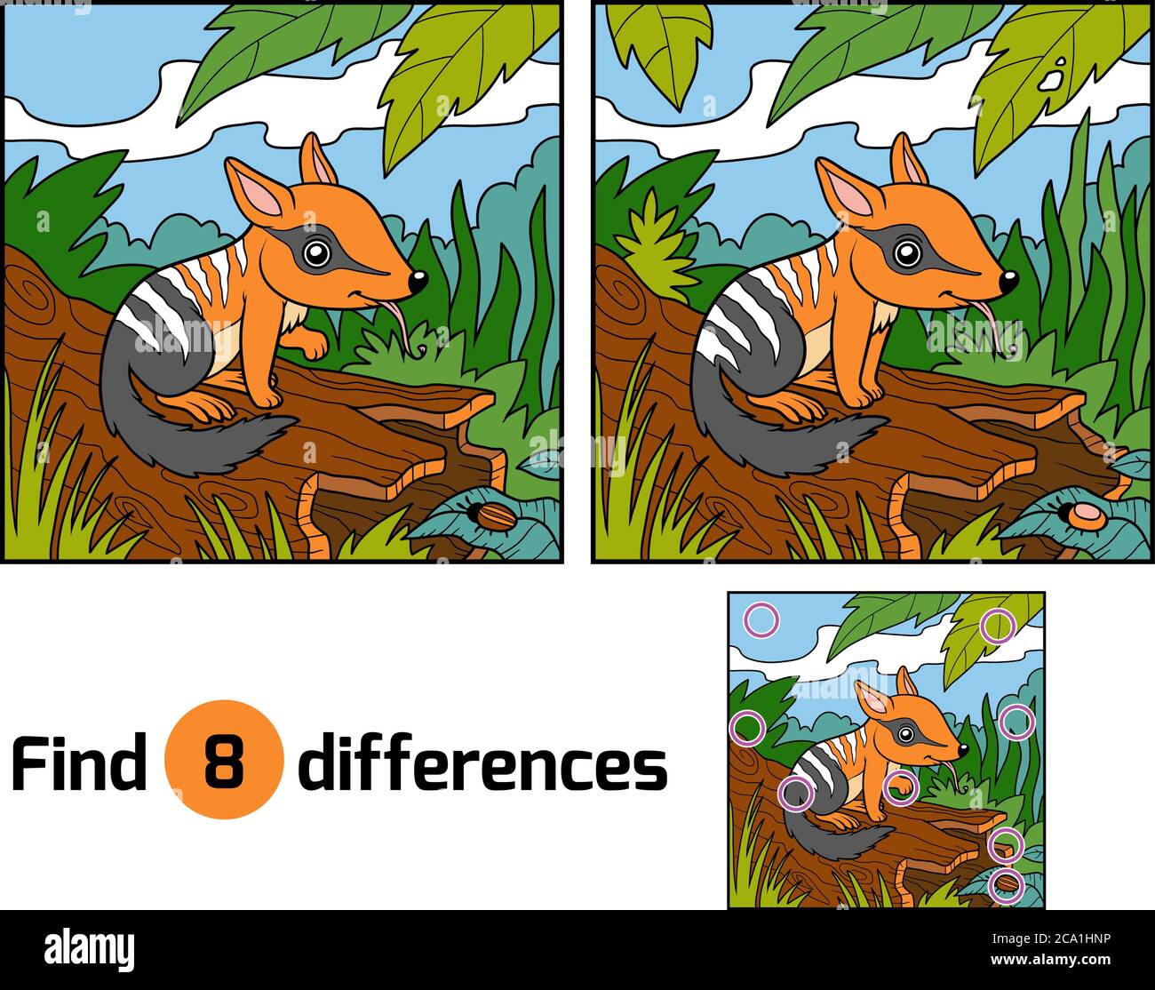 Find differences education game for children, Numbat Stock Vector Image ...