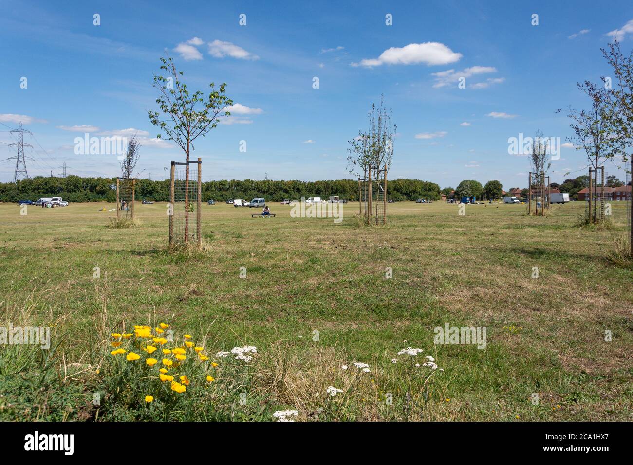 St Helier Open Space, Wrythe Lane, Rosehill, London Borough of Sutton, Greater London, England, United Kingdom Stock Photo