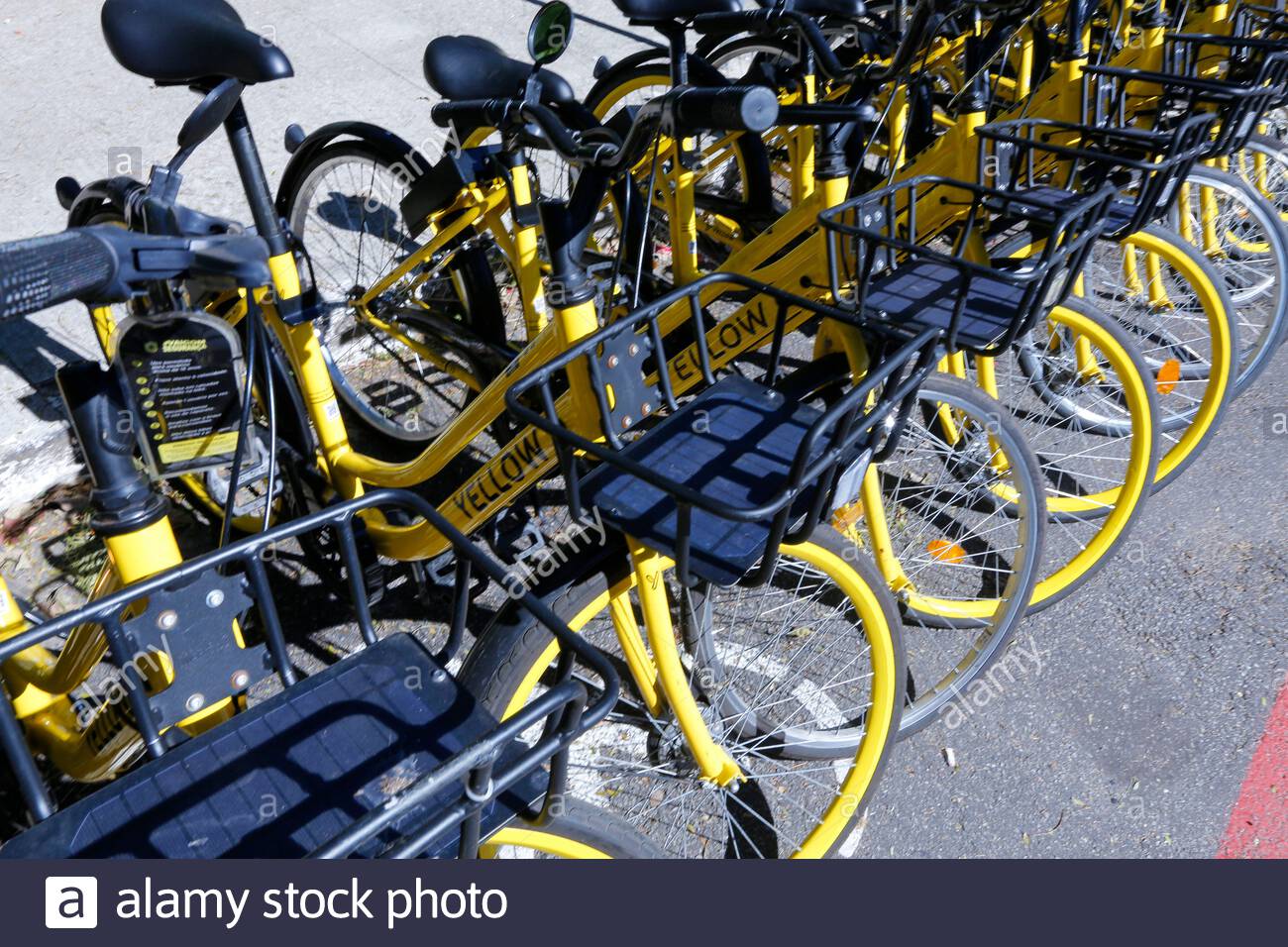 yellow bike sao paulo