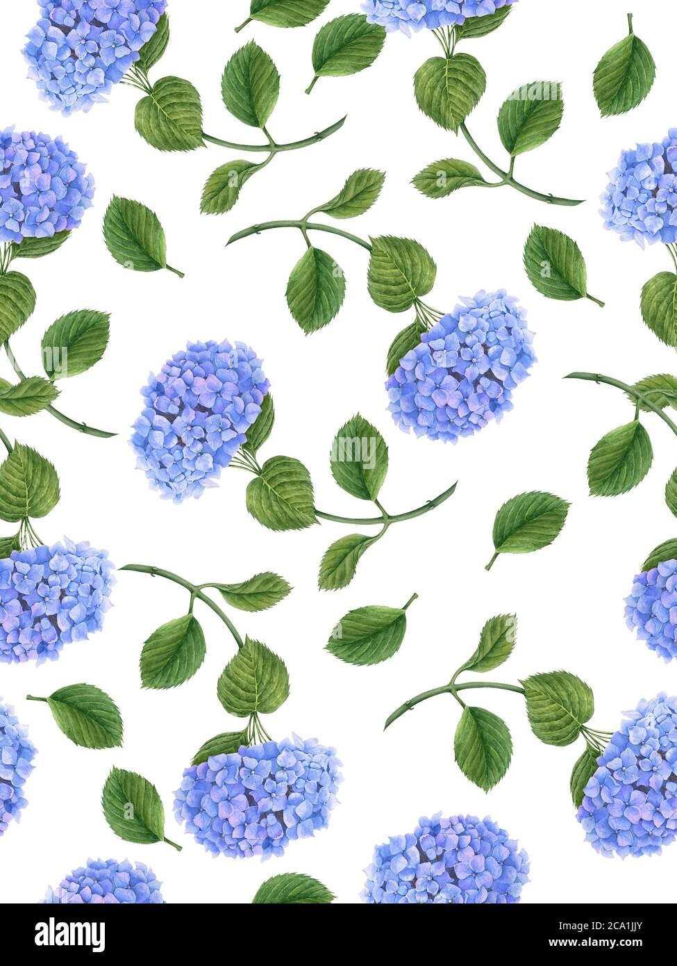 Vintage pattern with Hydrangea flowers watercolor botanical ...