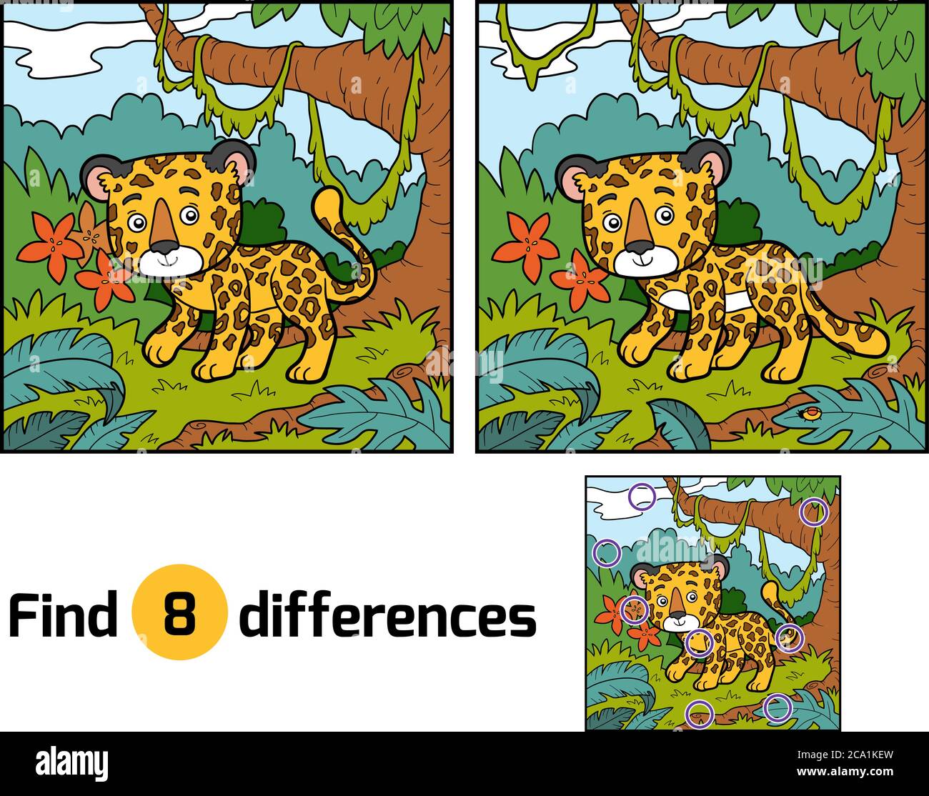 Find differences education game for children, Jaguar Stock Vector Image ...