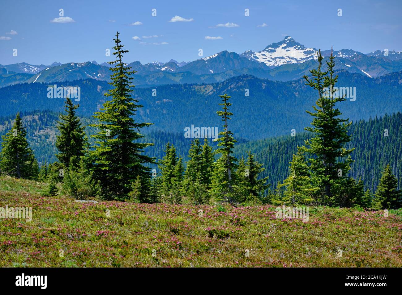 Looking over several forested ridges towards the North Cascades of Washington State from the Heather Trail in Manning Park, BC Stock Photo