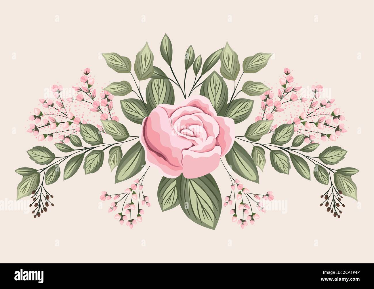 pink rose flower with leaves painting design, natural floral nature ...
