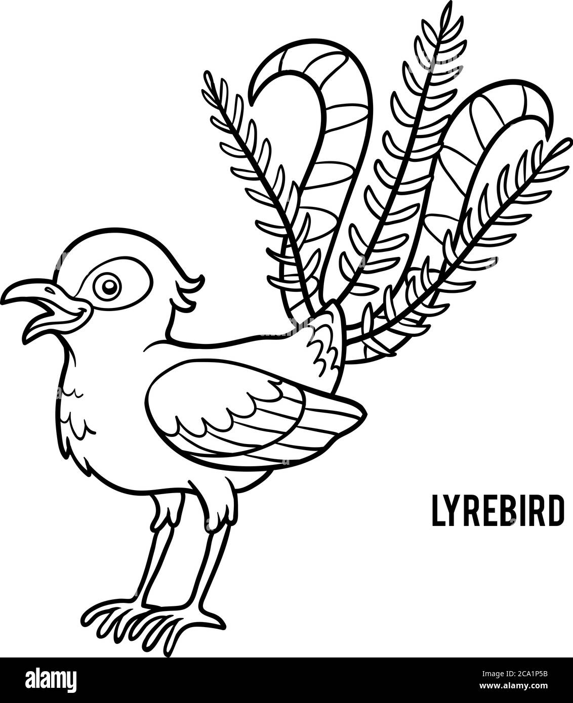 Coloring book for children, Lyrebird Stock Vector