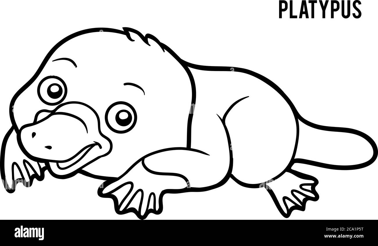 Coloring book for children, Platypus Stock Vector
