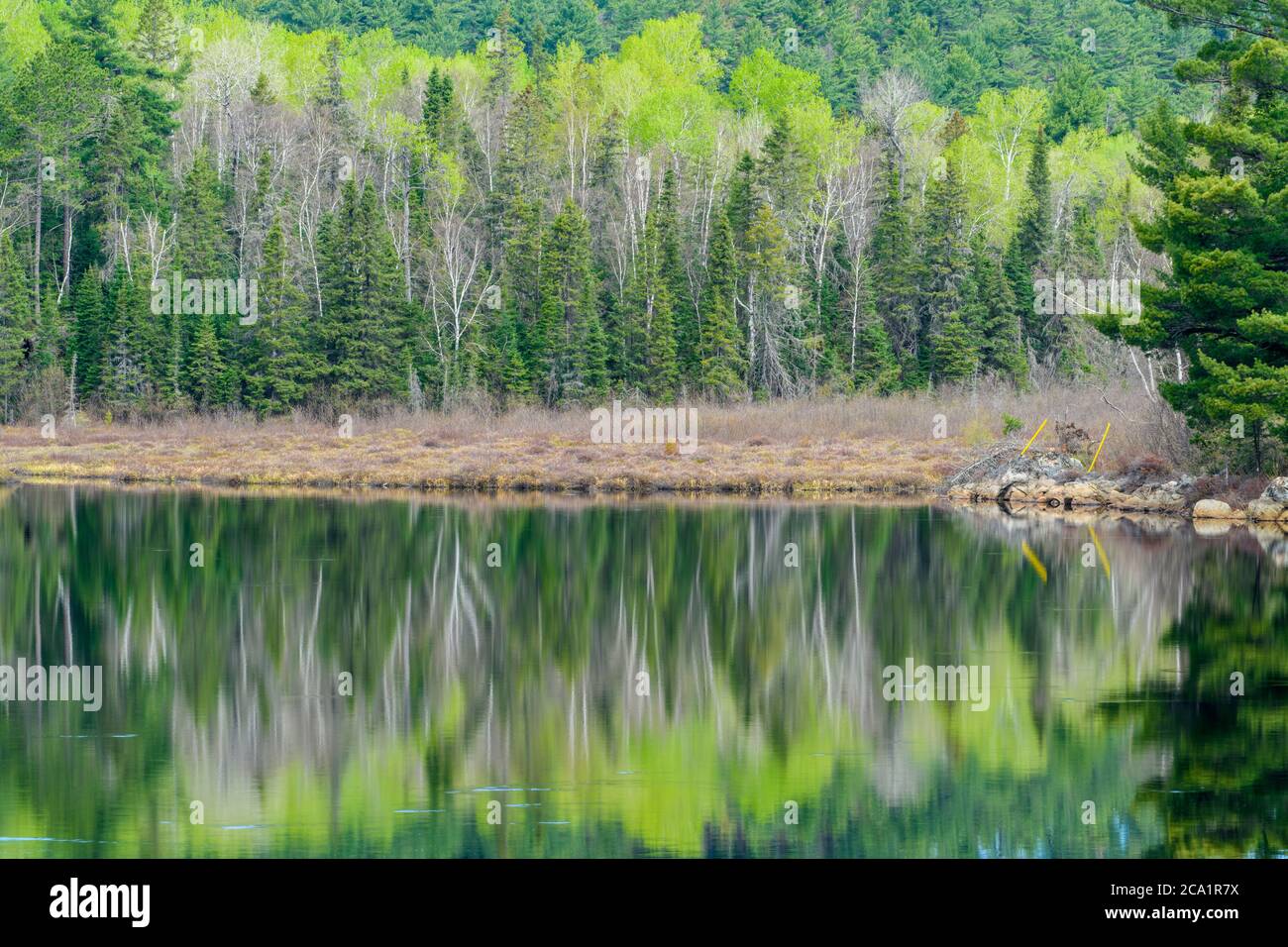 Spring reflections in Sawmill Lake, Cartier, Ontario, Canada Stock