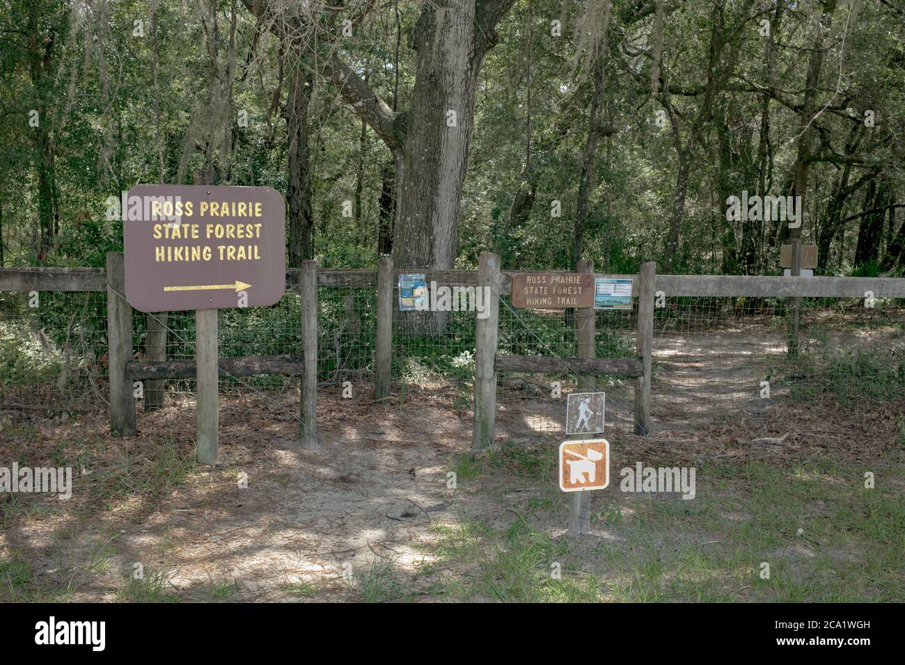 Entry to a hiking trail at Ross Prairie State Forest in Dunnellon, Florida. Outdoor public land for recreation. Stock Photo