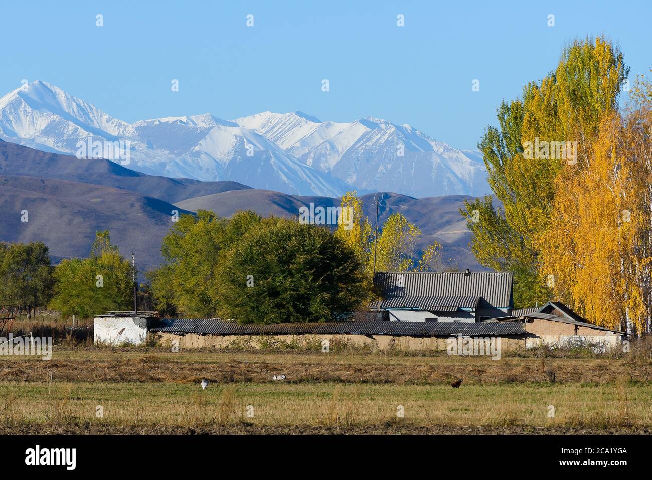 Countryside Kyrgyzstan in Central Asia with snow capped mountains behind. Rural area with mountain range with snow behind. Sunny day in fall season. Stock Photo