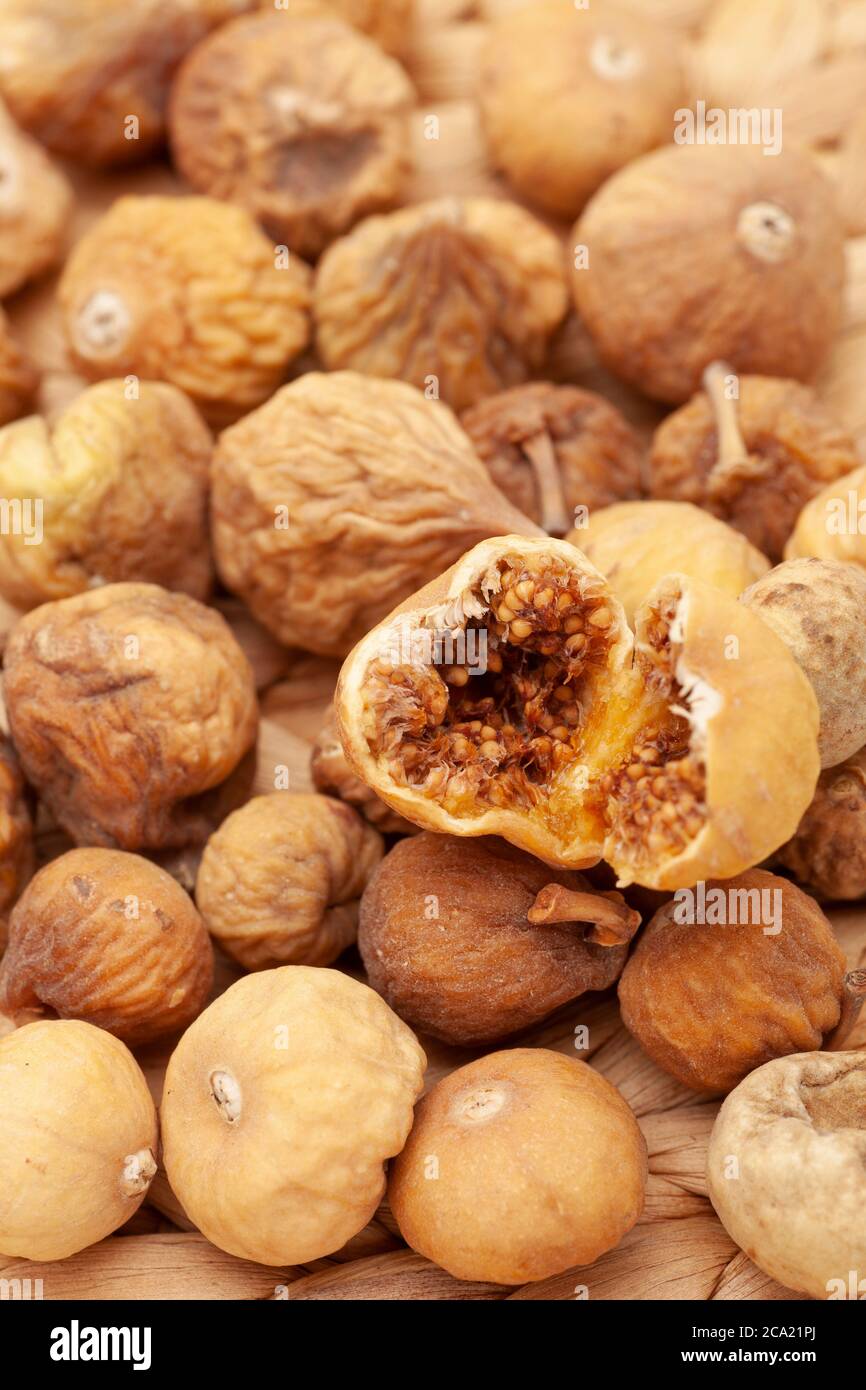 Ficus carica Stock Photo