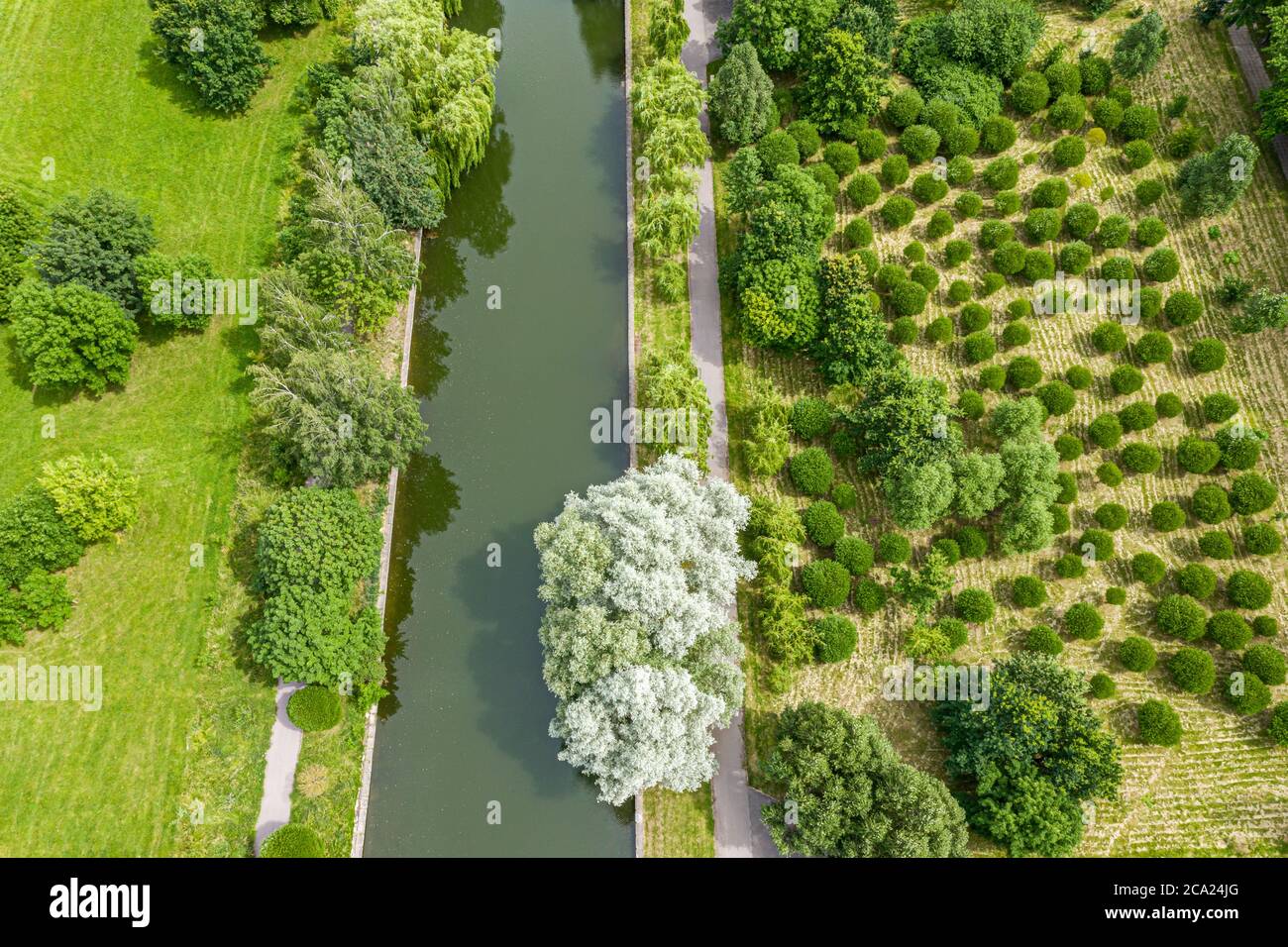 aerial view of green park in summer sunny day with trees, lawn and ...