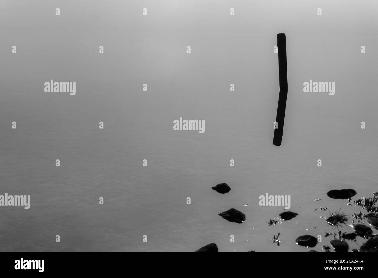 Post in water and mist reflected in monochrome. Stock Photo
