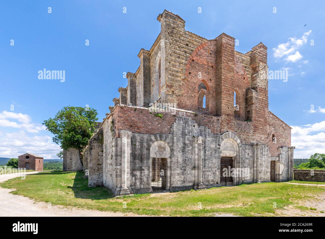 Wide angle view of the exterior of an ancient and abandoned Tuscanian gothic cathedral, with a tree growing on its side, under a blue summer sky Stock Photo