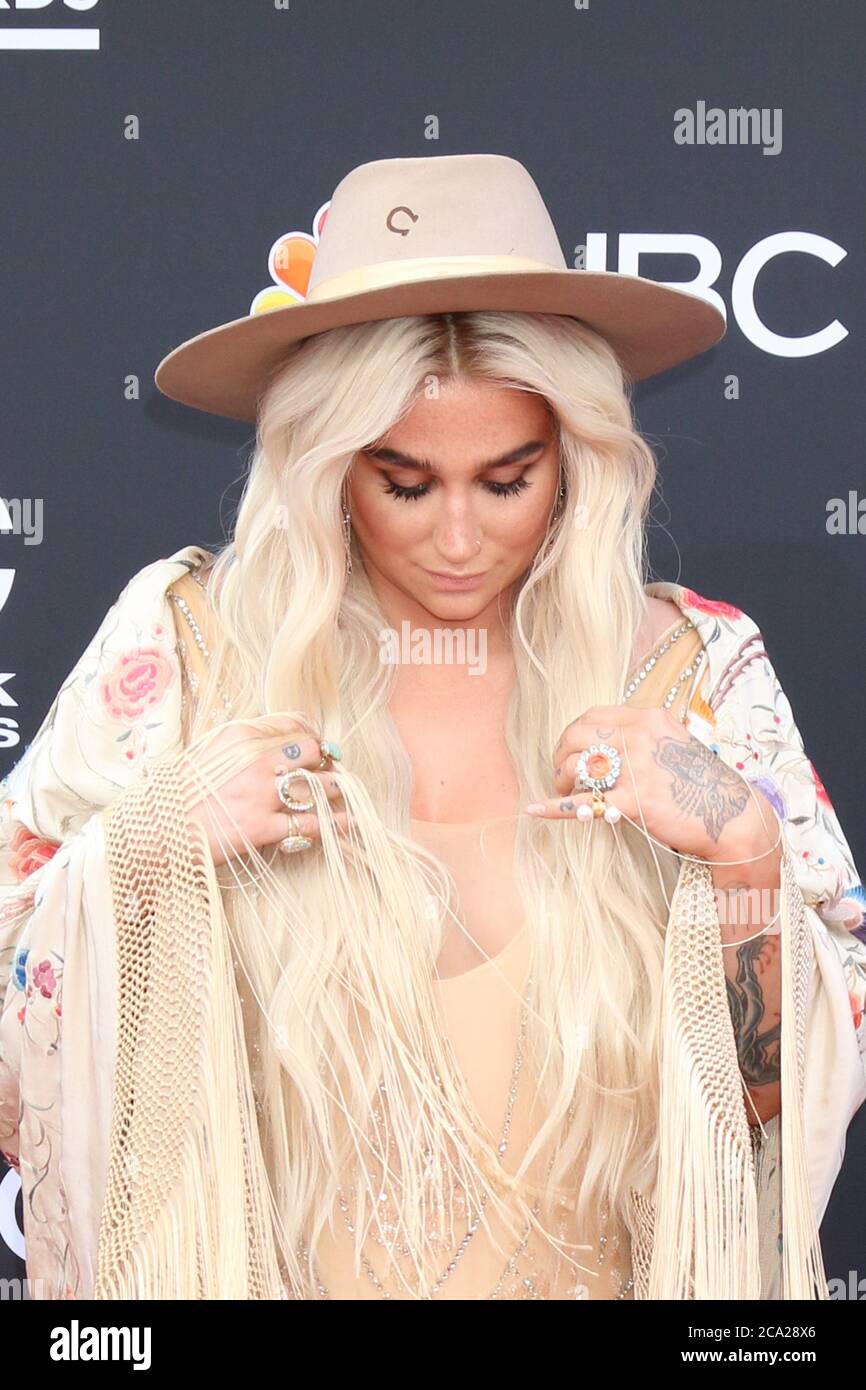 kesha rose sebert net worth - Ilustrasi 3