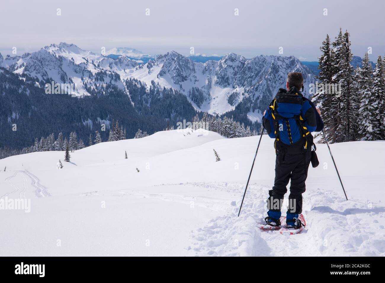 A snowshoer looks at the Tatoosh mountain range with Mt. St. Helens in the distance at Mt. Rainier National Park in Washington state in winter Stock Photo