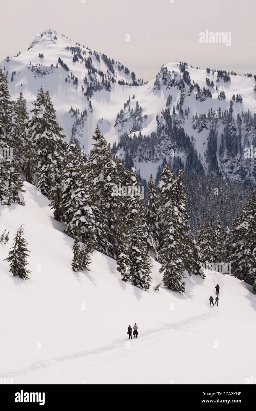 Outdoor enthusiasts enjoy winter activities at Mt. Rainier National