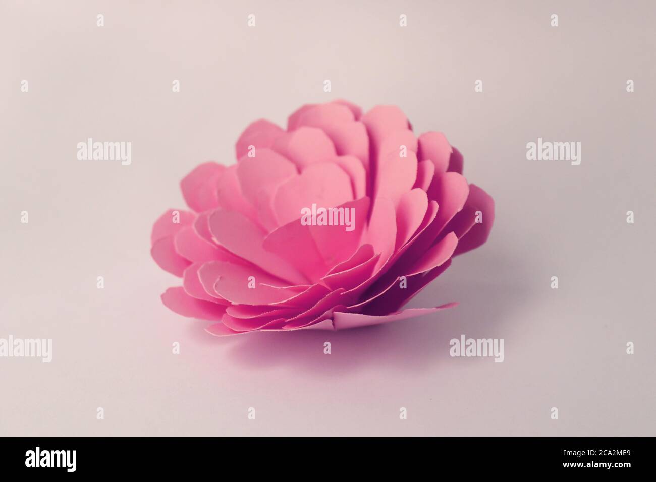 Hand made flowers Stock Photo Alamy