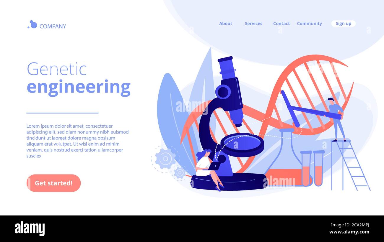 Genetic Engineering Concept Landing Page Stock Vector Image And Art Alamy