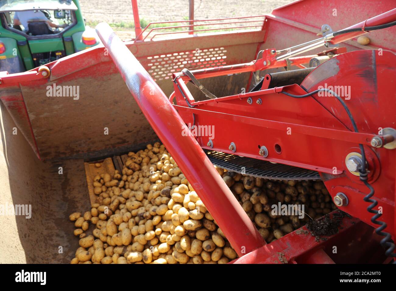 Agricultural potato harvest Stock Photo