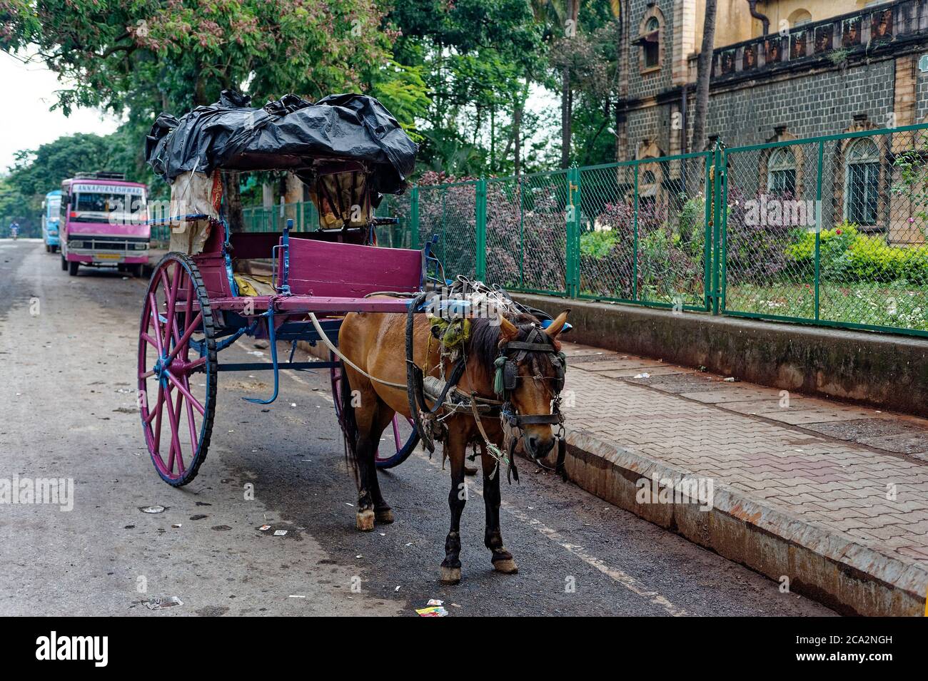 Mode of transportation Horse cart Stock Photo Alamy