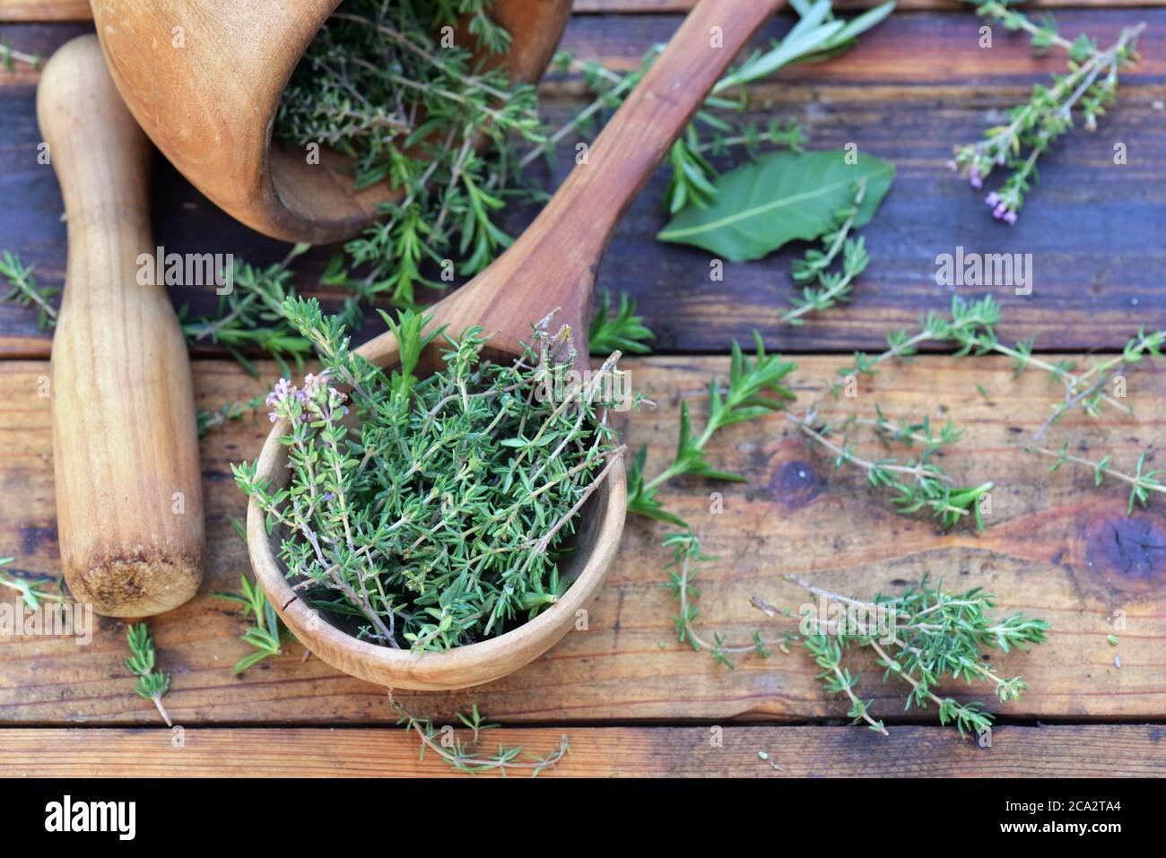 aromatic herb in a wooden  spoon and mortar on a wooden  table Stock Photo