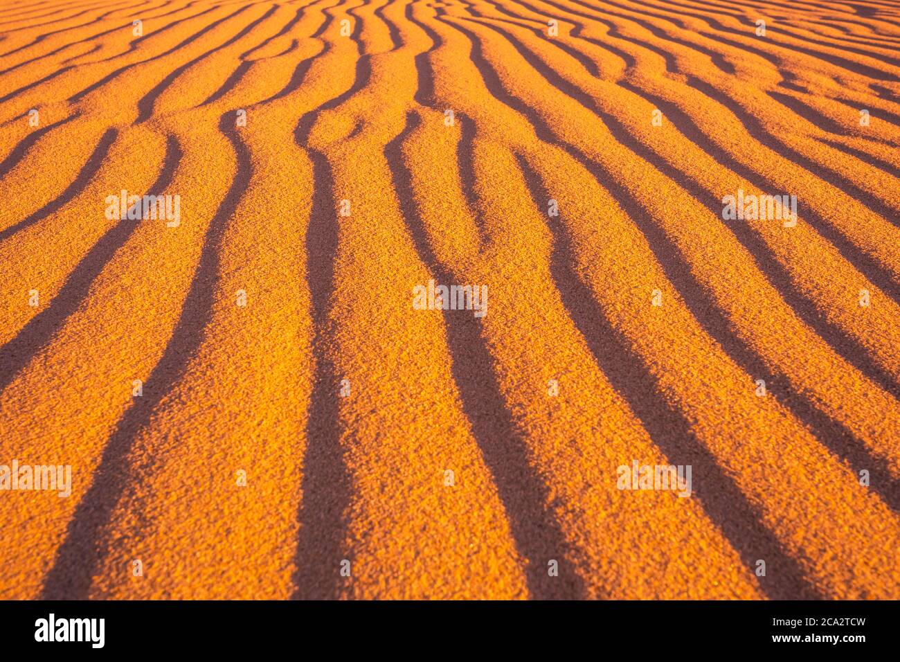 Desert and ripples in warm evening sunlight, Stock Photo