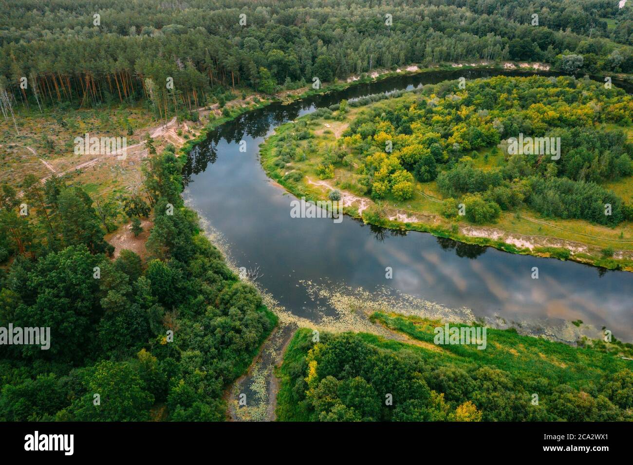 Aerial View Green Forest And River Landscape In Spring Evening. Top View Of Beautiful European Nature From High Attitude In Summer Season. Drone Stock Photo