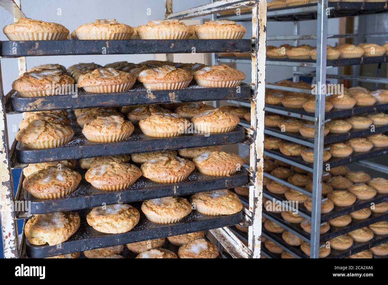 Fresh made magdalenas on rack, delicious traditional pastries from Hornachos, Extremadura, Spain. Closeup. Stock Photo