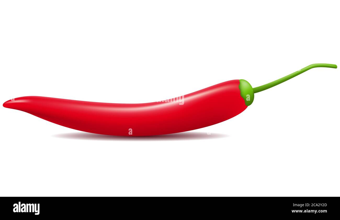 red hot chili pepper vector illustration isolated on white background. Stock Photo