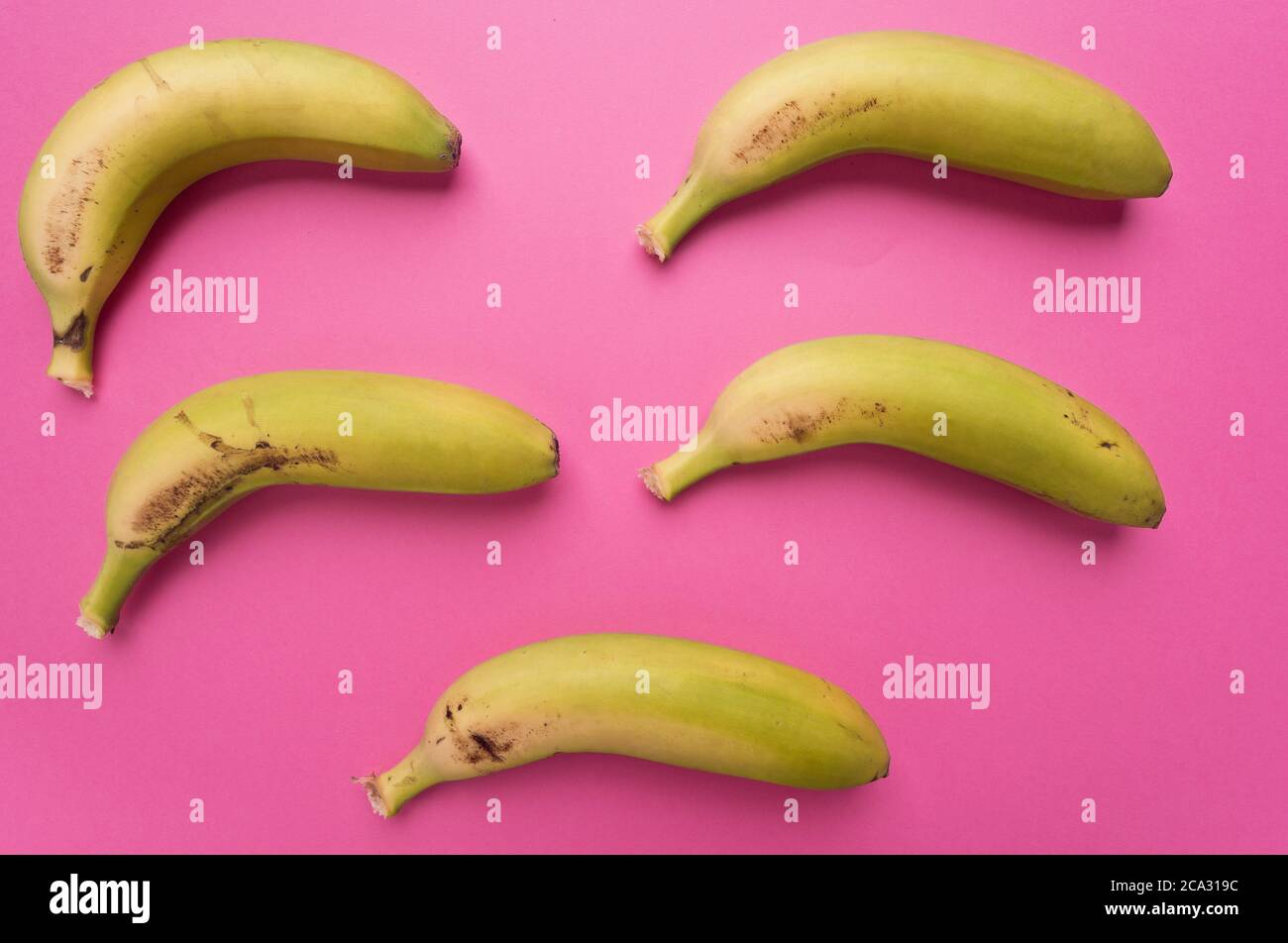 Banana or banana. It is an edible fruit, botanically a berry, of