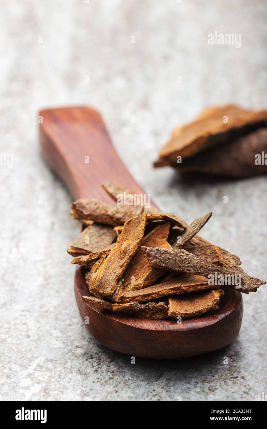 Dried cinnamon sticks in wooden spoon close up Stock Photo
