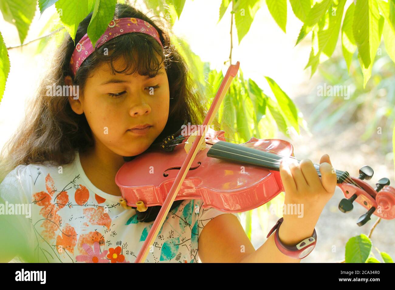 Playing the violin. Stock Photo