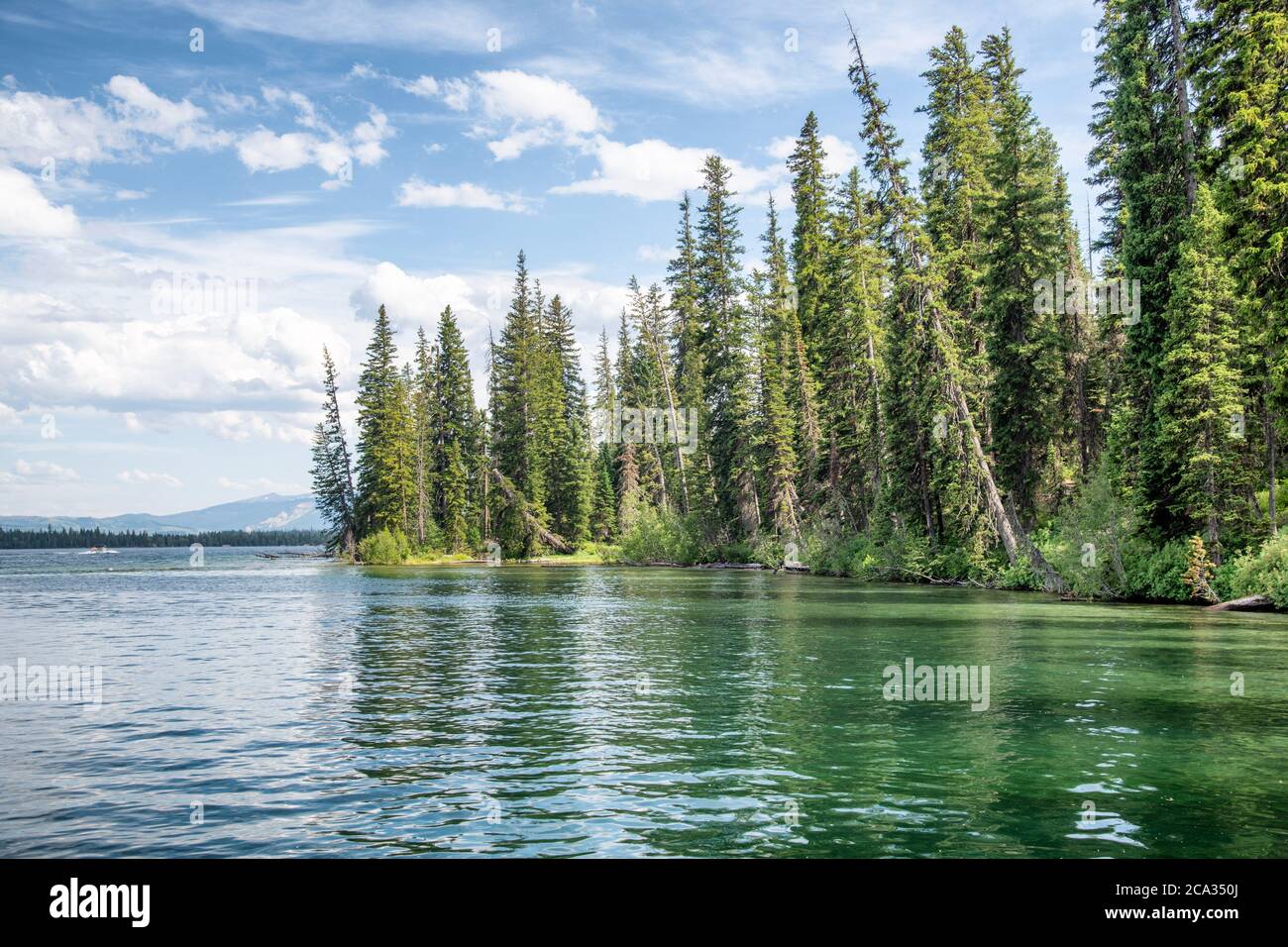 Jenny Lake with trees in the Grand Teton National Park, Wyoming. Stock Photo