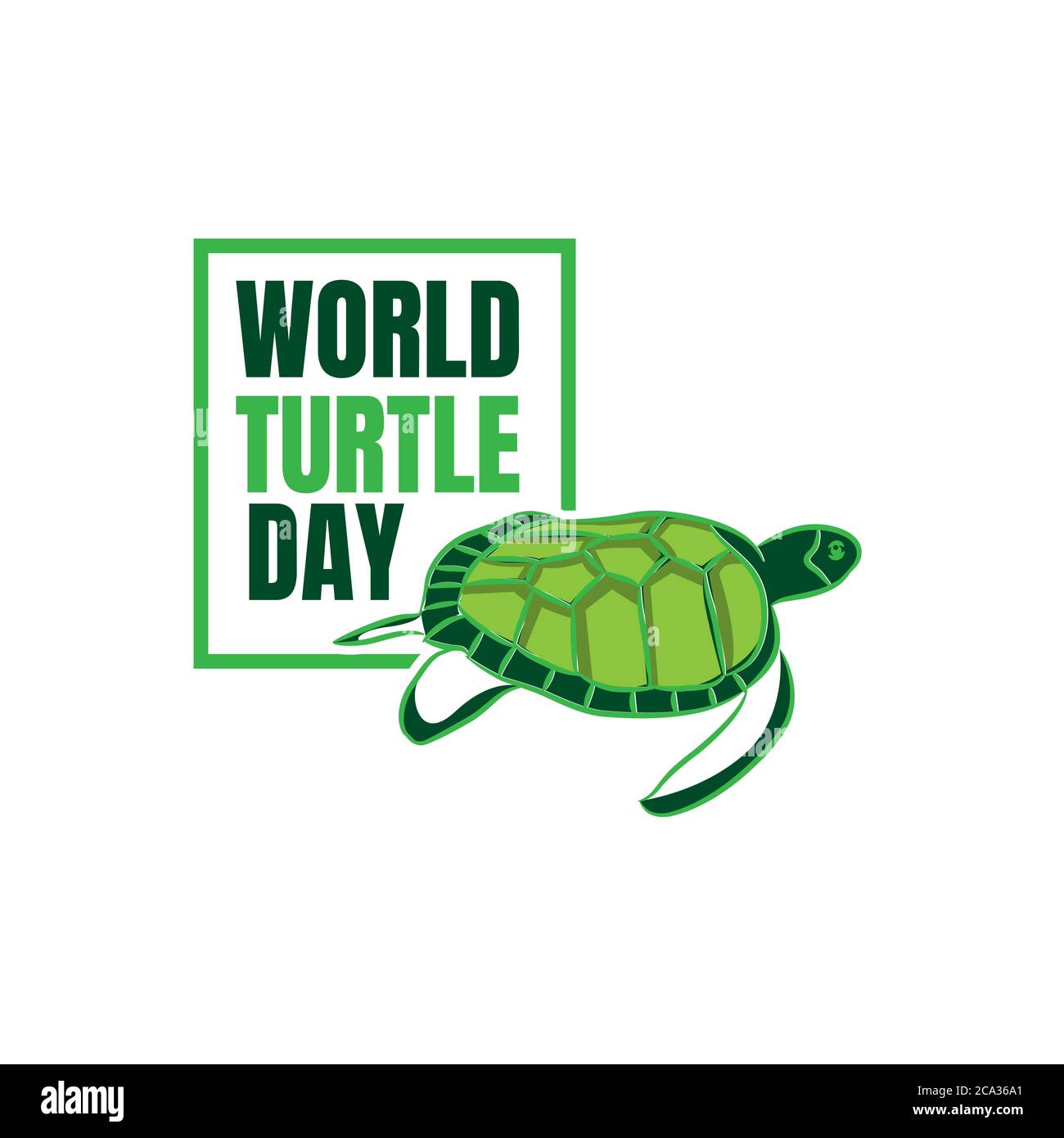World turtle day