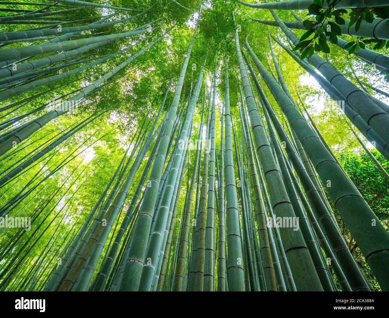 Beautiful japanese building hires stock photography and images Alamy