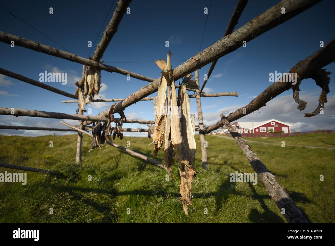 Icelandic Dry Fish Iceland dried fish hi-res stock photography and images - Alamy