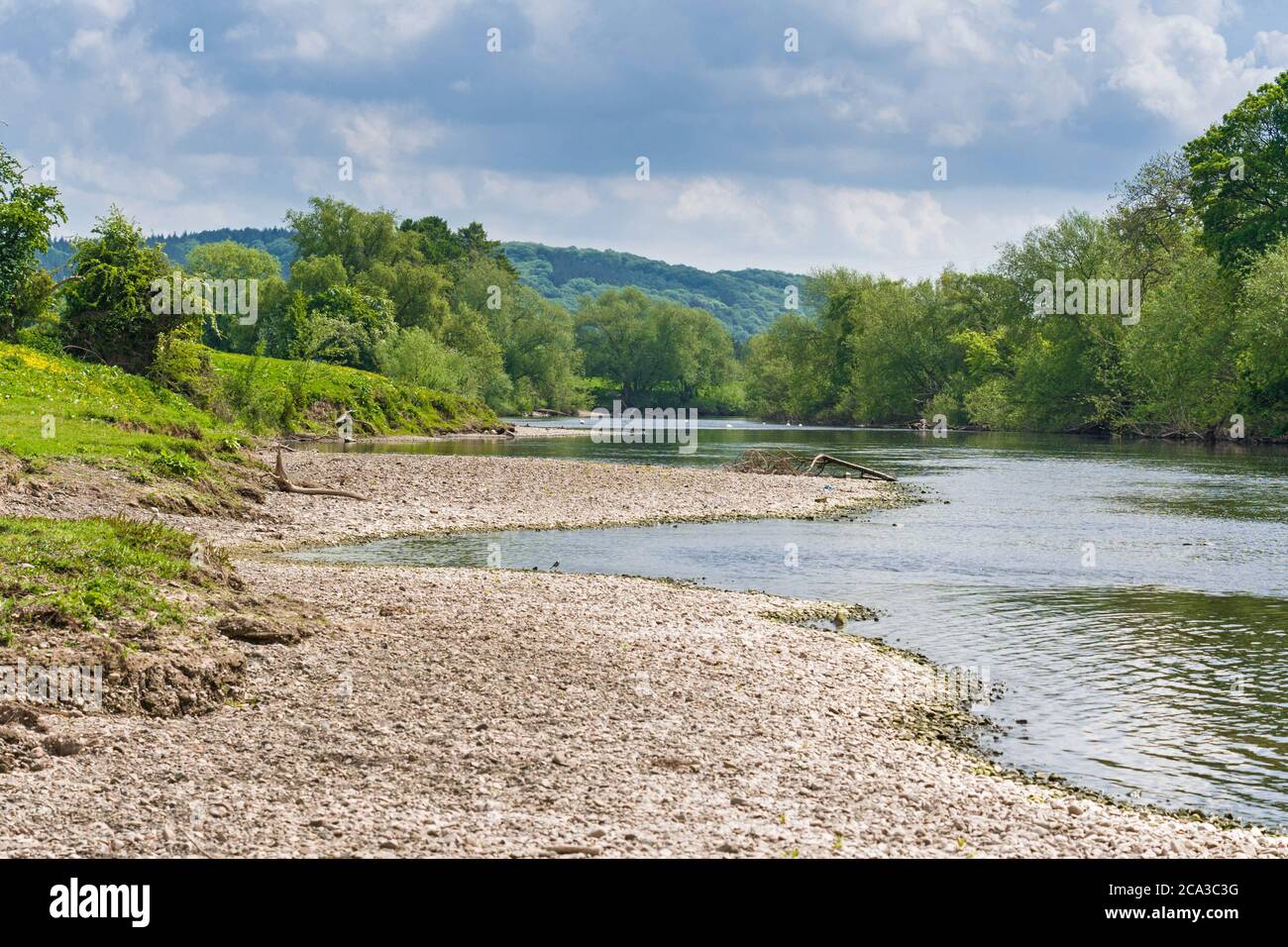 The river Wye at Hampton Bishop Hereford herefordshire UK. May 2020. Stock Photo