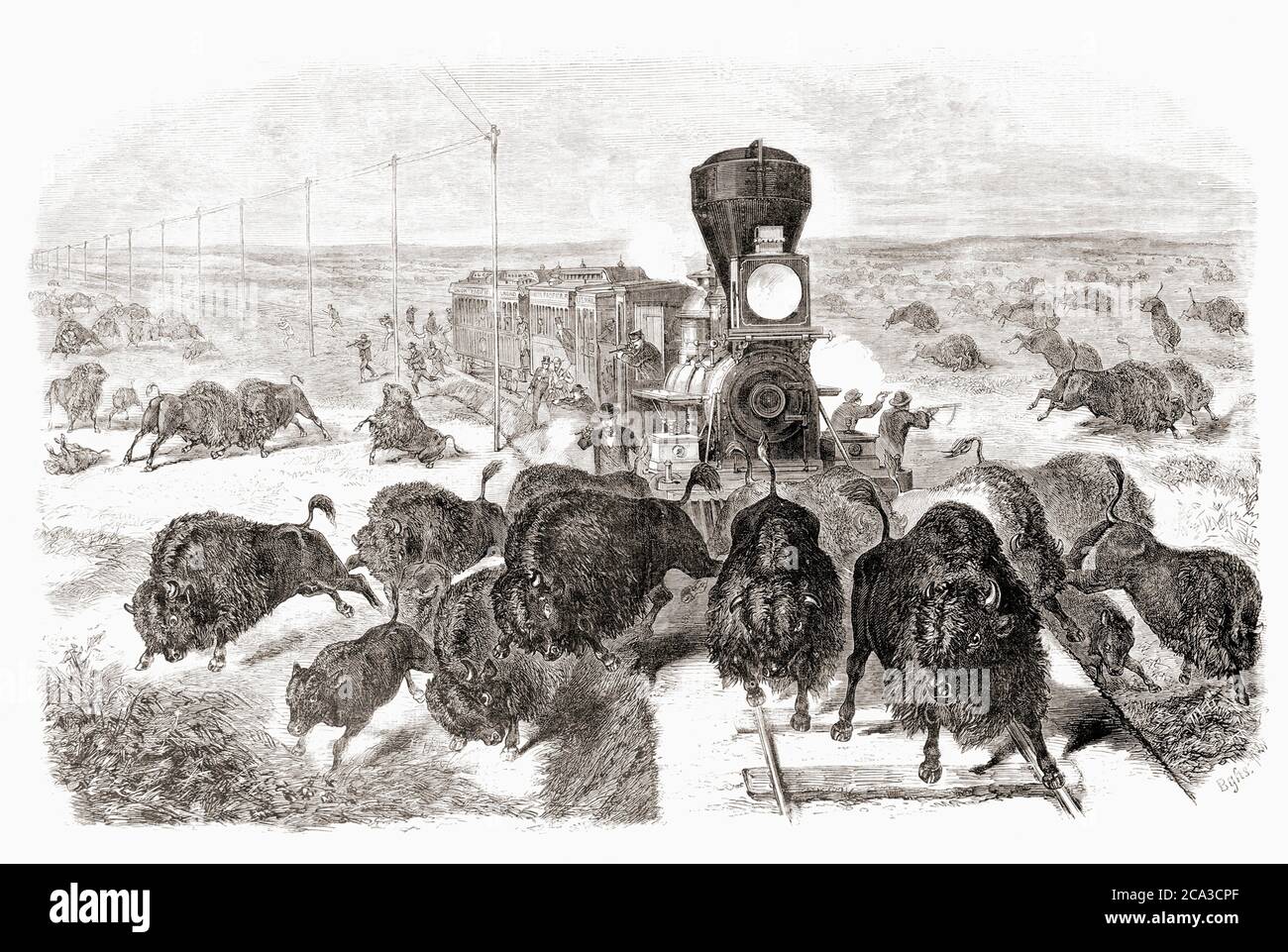 Shooting buffalo on the Kansas-Pacific Railroad line. After a work by an  unidentified artist which appeared in the June 3, 1871 edition of Frank  Stock Photo - Alamy