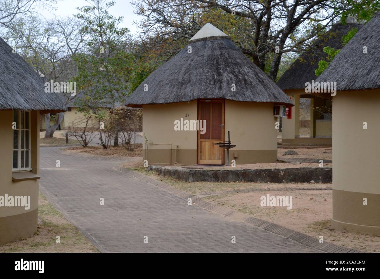 Rows of small traditional thatch roof accommodation huts in Pretoriouskop rest camp in Kruger National Park game reserve in South Africa Stock Photo