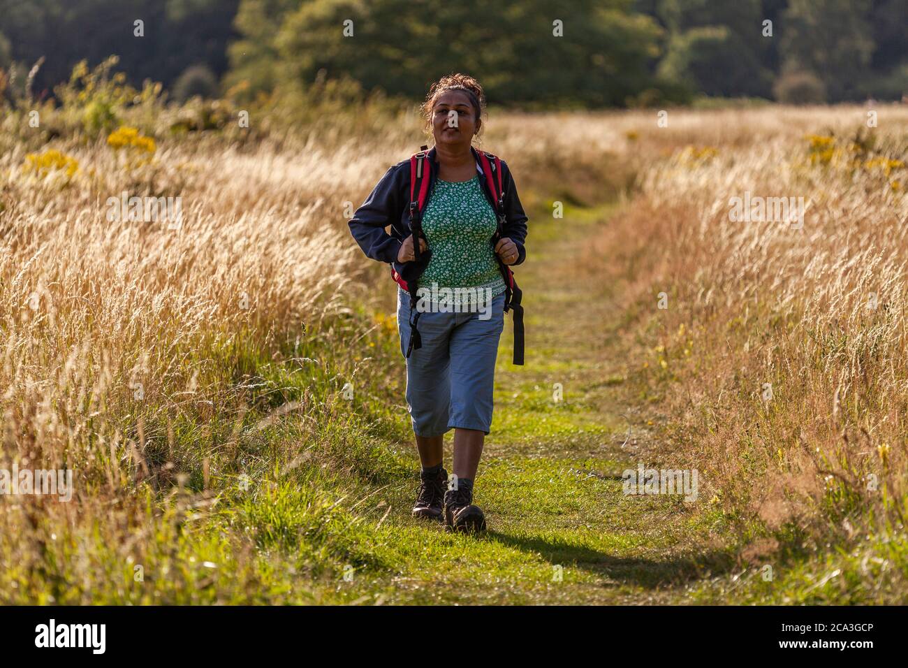 A woman walking with backpack in the field Stock Photo