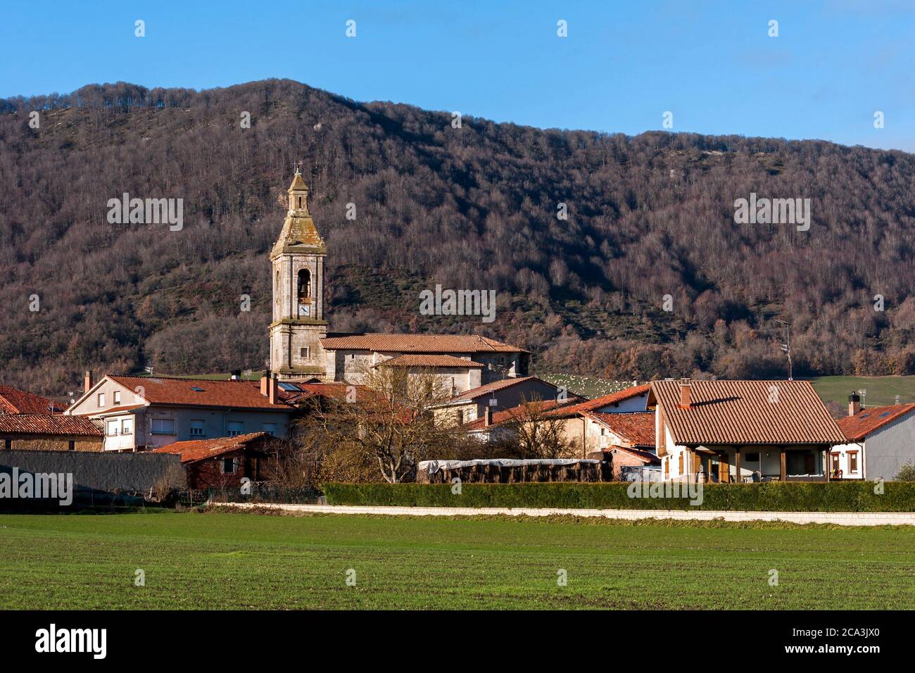 Vicente de arana hires stock photography and images Alamy