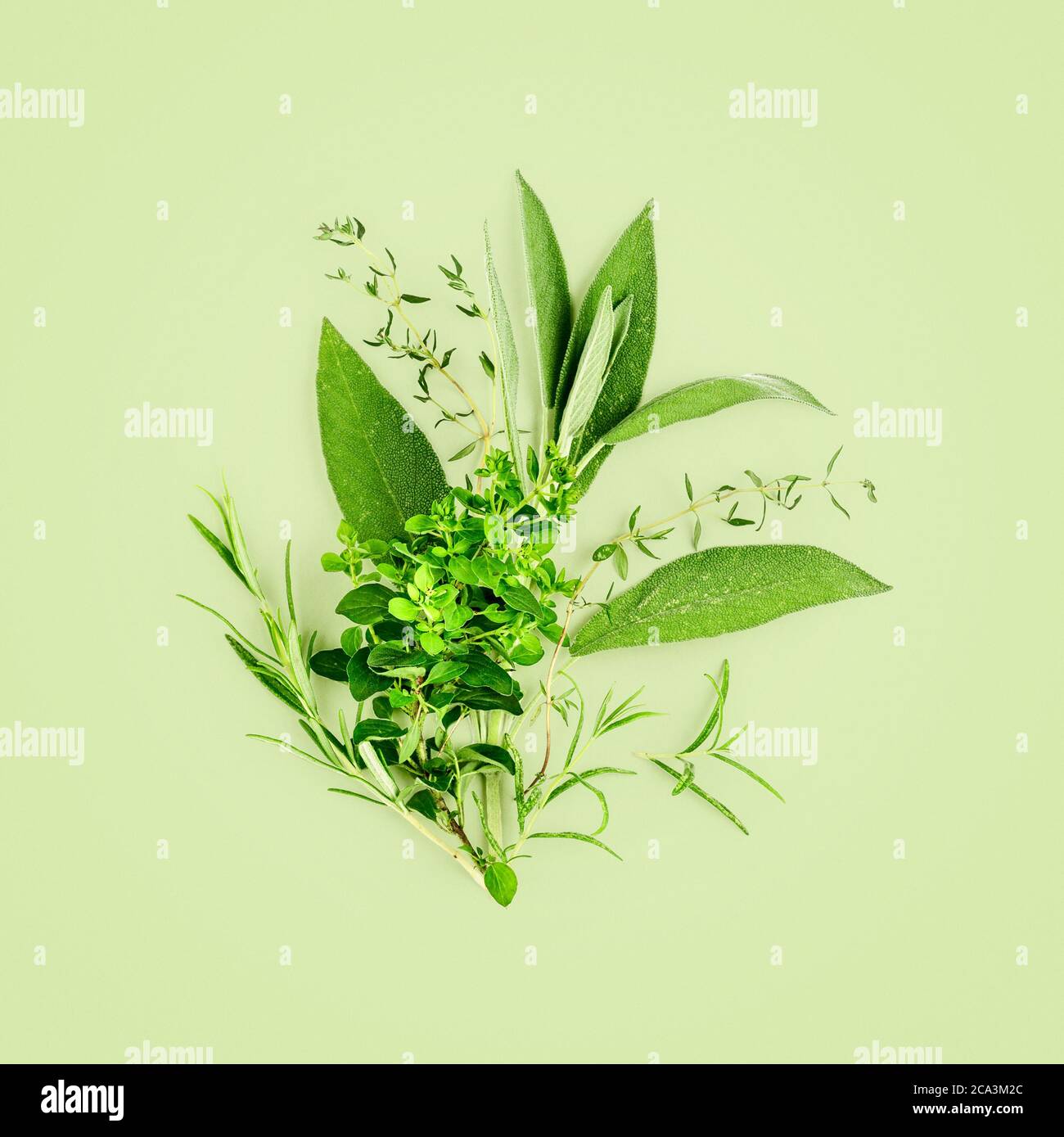 Rosemary thyme sage hires stock photography and images Alamy